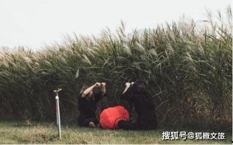 国产伊甸园,探寻东方梦幻乐园的奇幻之旅